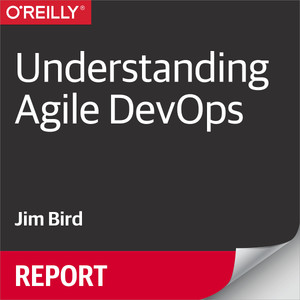 Understanding Agile DevOps