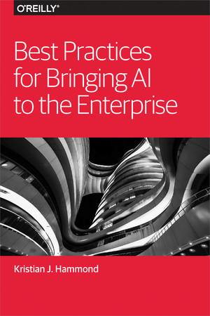Best Practices for Bringing AI to the Enterprise