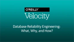 Database Reliability Engineering: What, Why, and How?