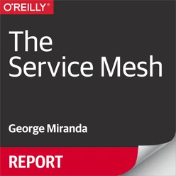 The Service Mesh