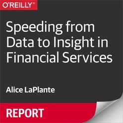 Speeding from Data to Insight in Financial Services