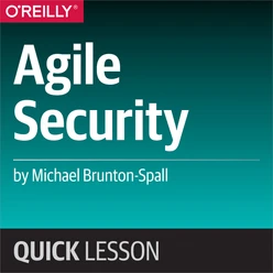 Agile Security