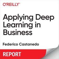 Applying Deep Learning in Business