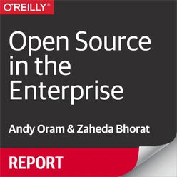 Open Source in the Enterprise