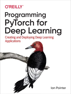Programming PyTorch for Deep Learning