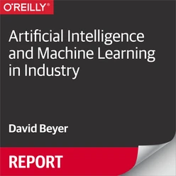 Artificial Intelligence and Machine Learning in Industry