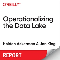 Operationalizing the Data Lake