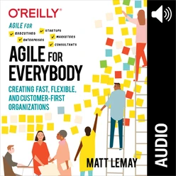 Agile for Everybody