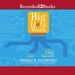 Big Data at Work