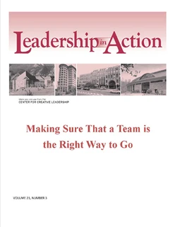 Leadership in Action: Making Sure that a Team is the Right Way to Go