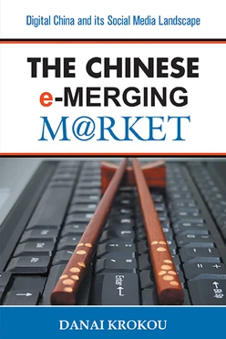The Chinese e-Merging Market, 2nd Edition