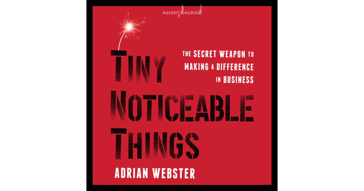 Section 14 - Tiny Noticeable Things [Audiobook]