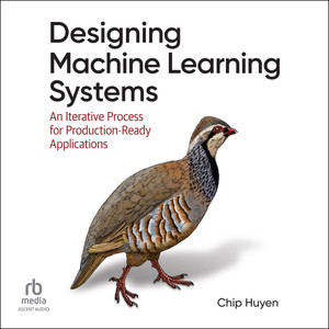 Designing Machine Learning Systems
