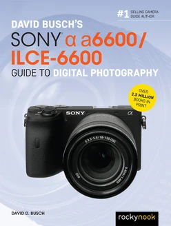 David Busch’s Sony Alpha a6600/ILCE-6600 Guide to Digital Photography