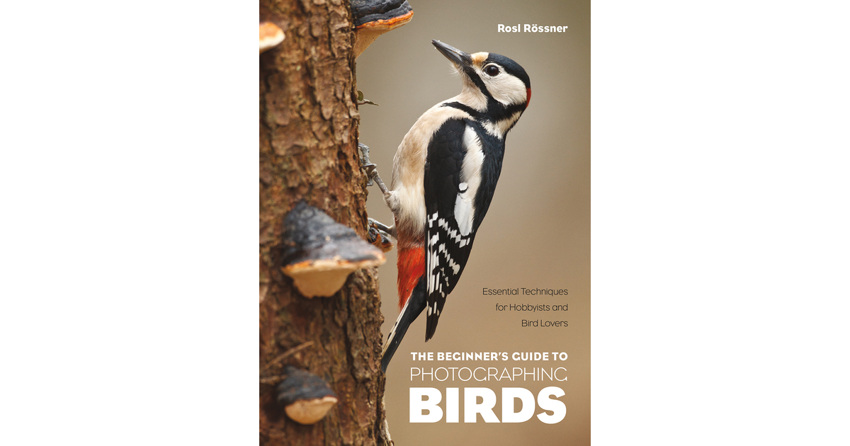 2. The Necessary Gear - The Beginner's Guide to Photographing Birds [Book]