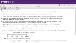 Beginning Java Web Development