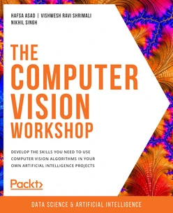 The Computer Vision Workshop