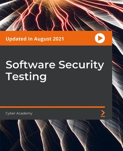 Software Security Testing