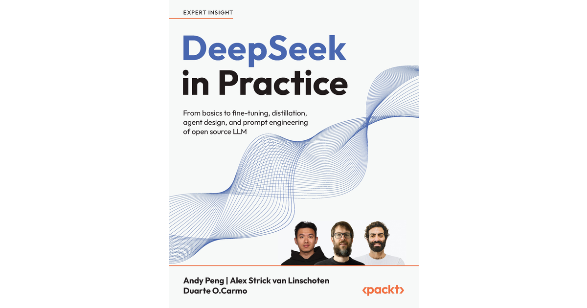 DeepSeek in Practice [Book]