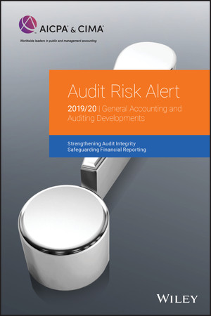 Audit Risk Alert, 2nd Edition
