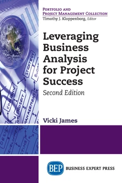 Leveraging Business Analysis for Project Success, 2nd Edition