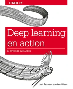 Deep learning en action