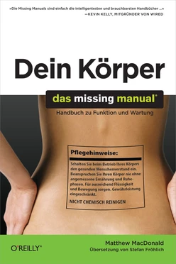 Dein Körper: Das Missing Manual