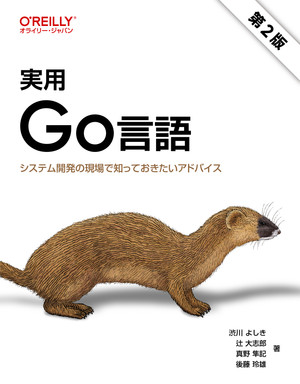 実用 Go言語 第2版 ―システム開発の現場で知っておきたいアドバイス