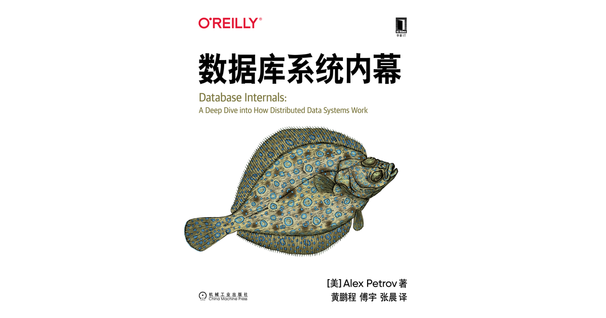 O'Reilly介绍 - 数据库系统内幕 [Book]