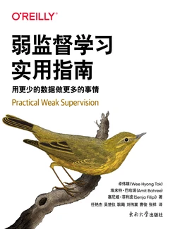 弱监督学习实用指南