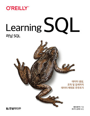 러닝 SQL: 데이터 생성, 검색, 조작까지 데이터 제대로 주무르기