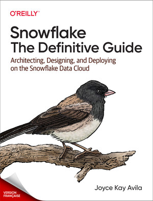 Flocon de neige : Le guide définitif