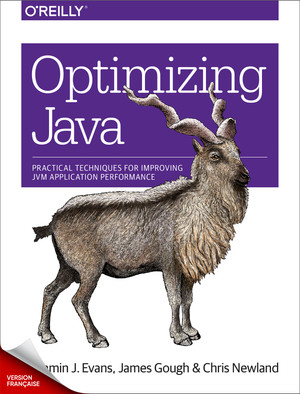 Optimiser Java