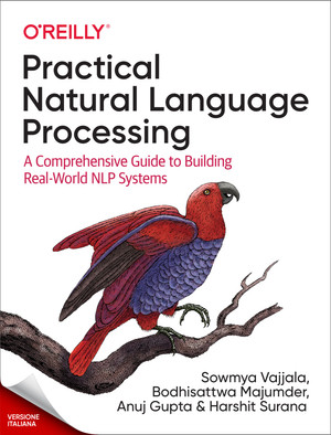 Elaborazione pratica del linguaggio naturale