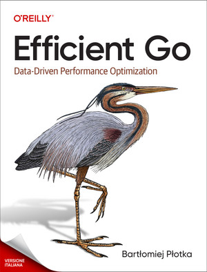 Go efficiente