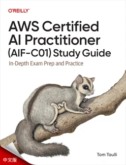AWS 认证人工智能实践者 (AIF-C01) 学习指南