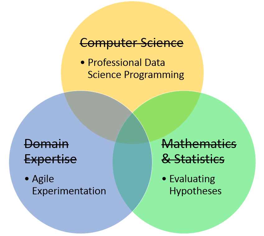 pragmatic view of the required data science skills