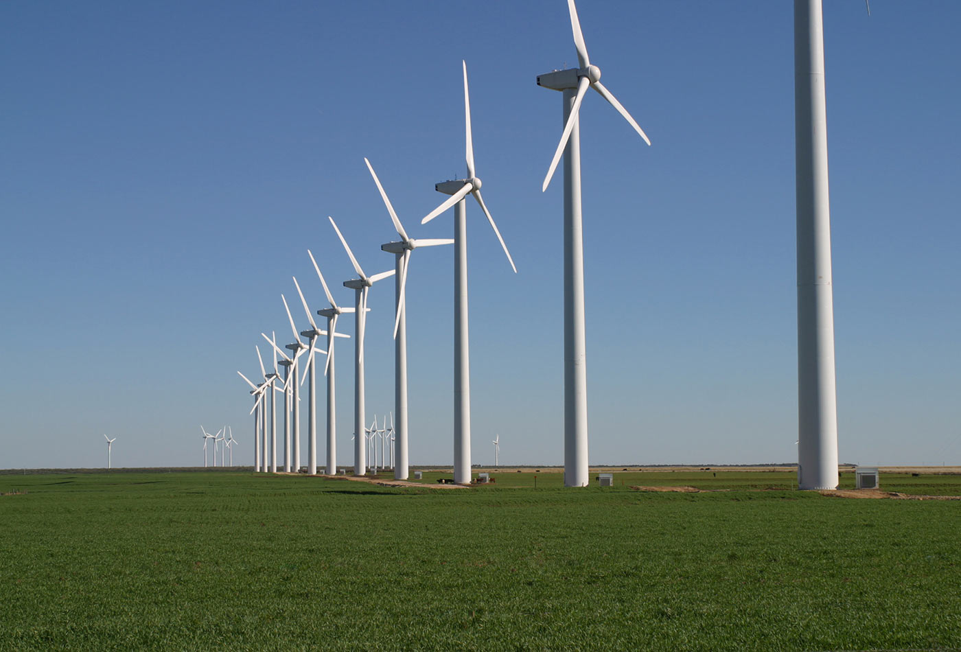 The Brazos Wind Farm
