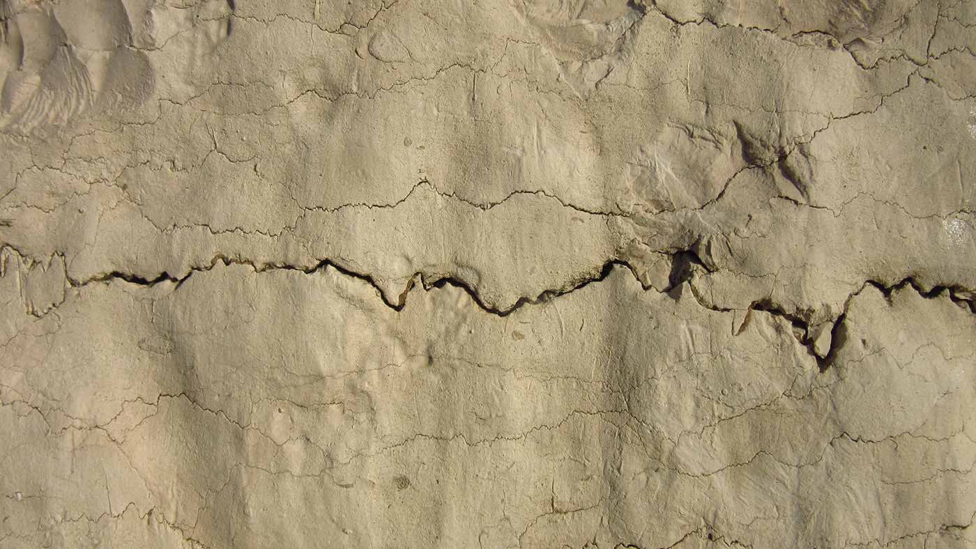 Crack in rock